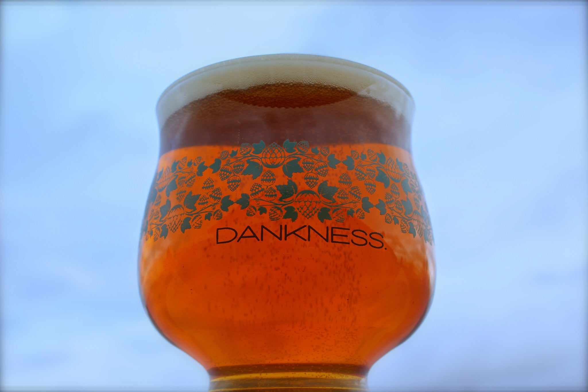 The Dankness Glass | B2