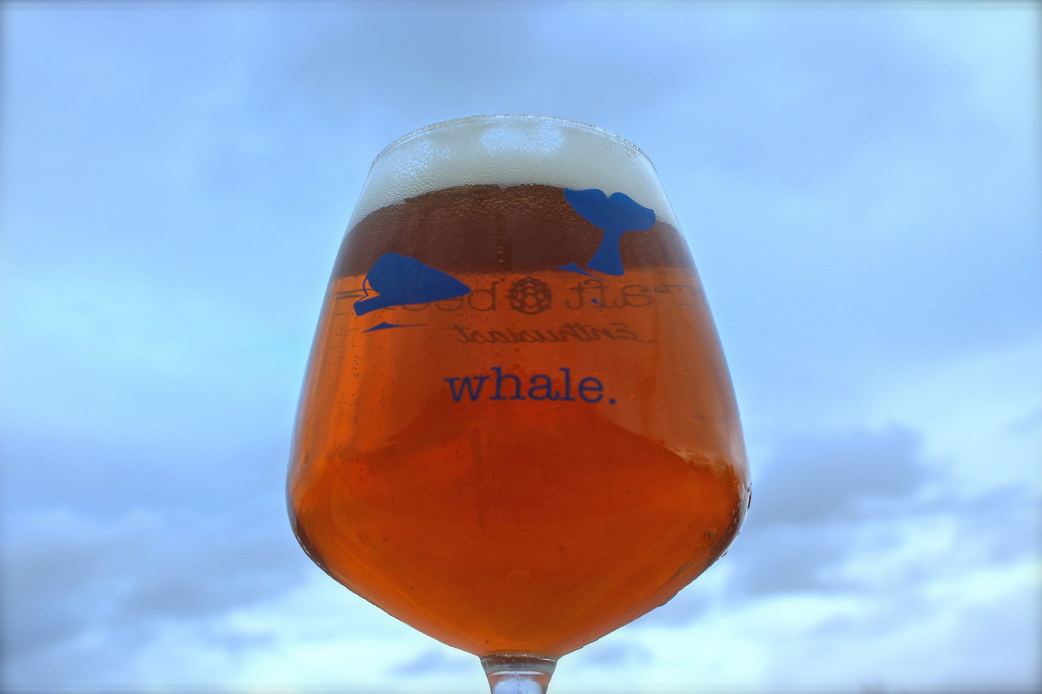 The Whale Glass | B1