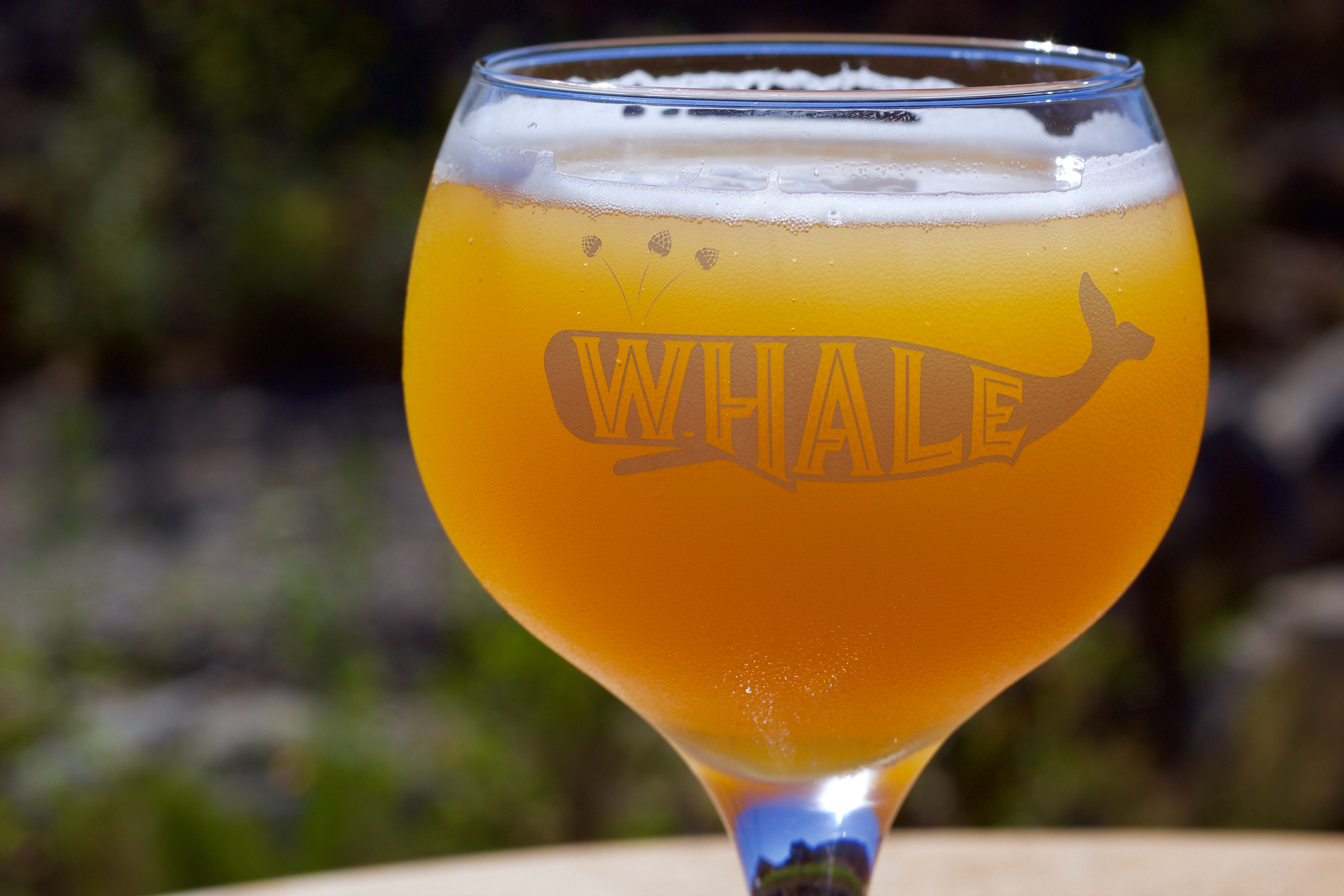 The Whale Glass | B3
